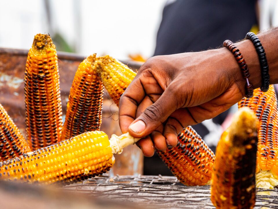 world food day